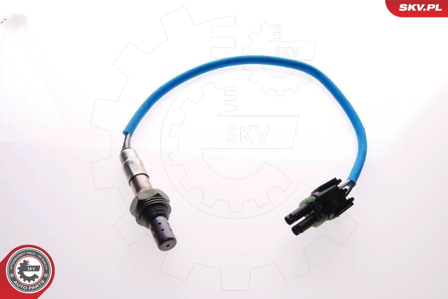 09SKV017