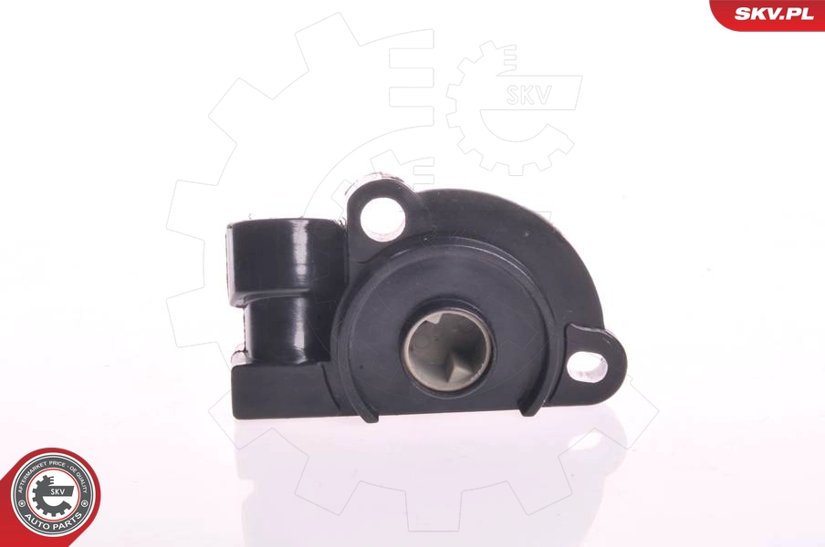 17SKV007