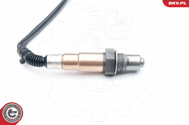 09SKV621