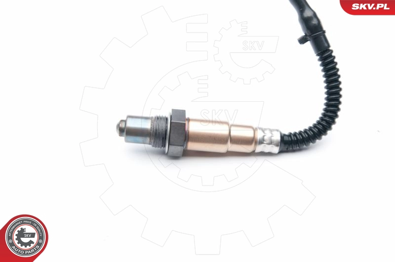 09SKV867