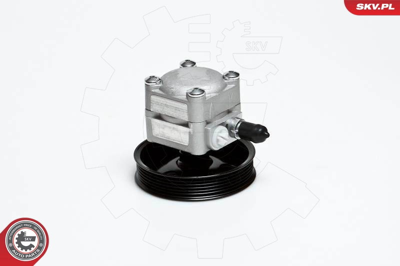 10SKV027