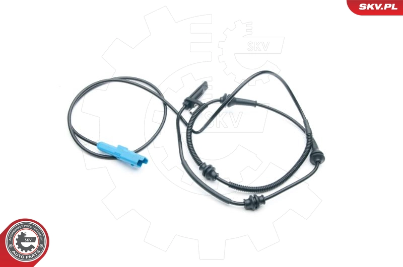 06SKV321