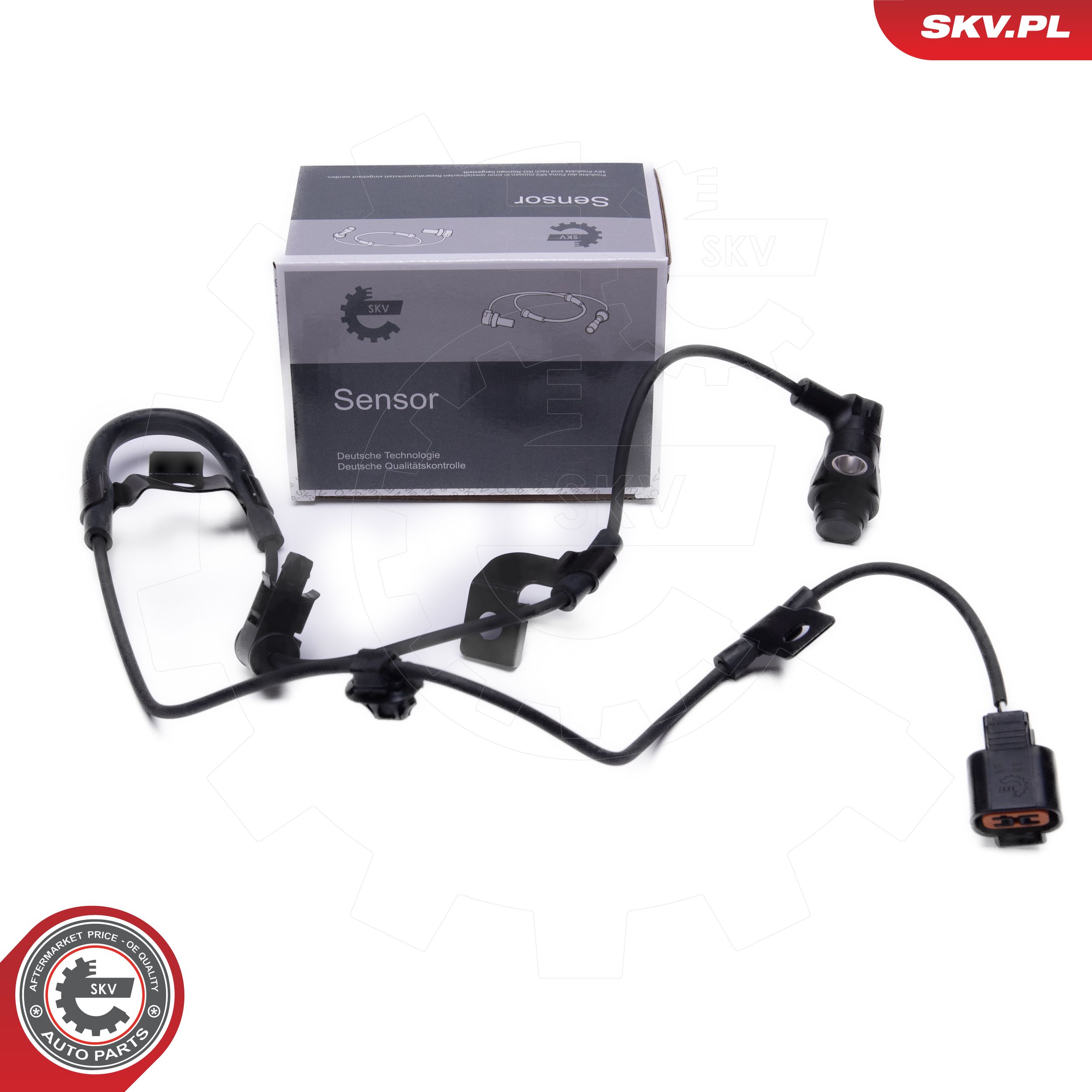 06SKV495