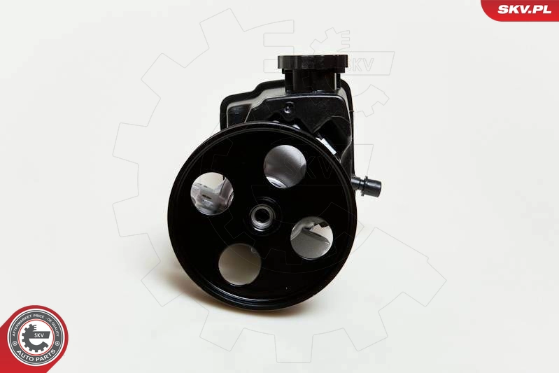 10SKV046