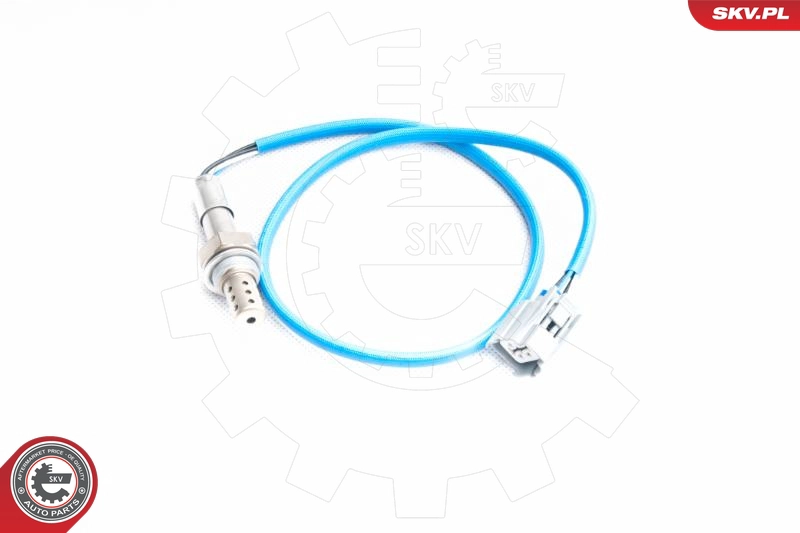 09SKV094
