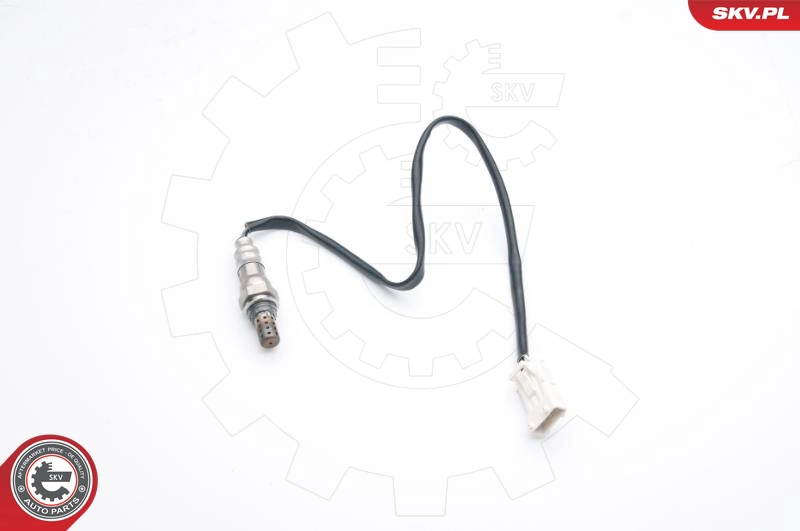 09SKV673