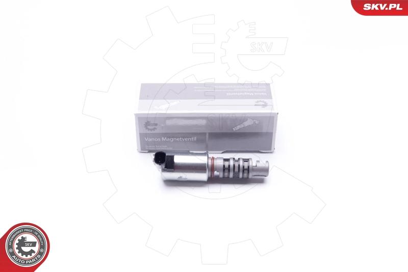 39SKV036