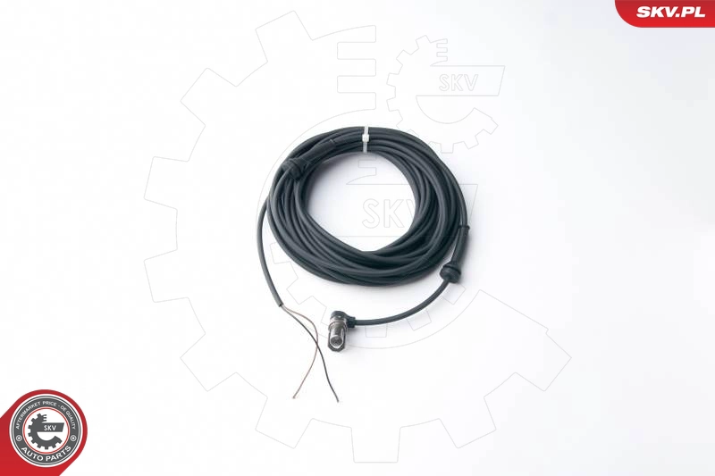 06SKV237