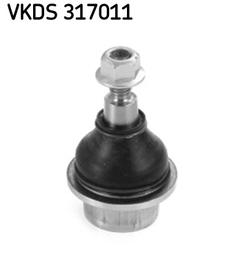 VKDS 317011