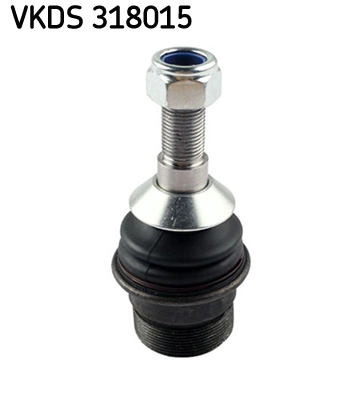 VKDS 318015