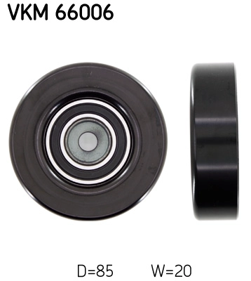 VKM 66006