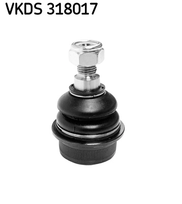 VKDS 318017