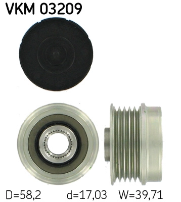 VKM 03209