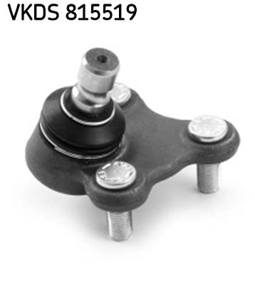 VKDS 815519