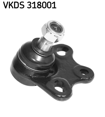 VKDS 318001