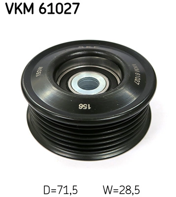 VKM 61027