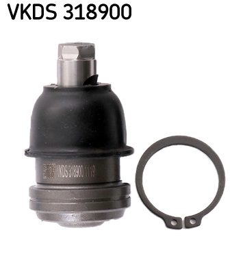 VKDS 318900