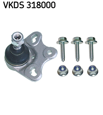 VKDS 318000