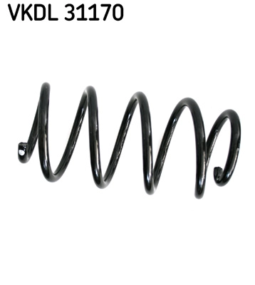 VKDL 31170