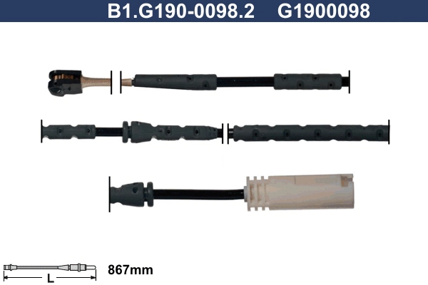 B1.G190-0098.2