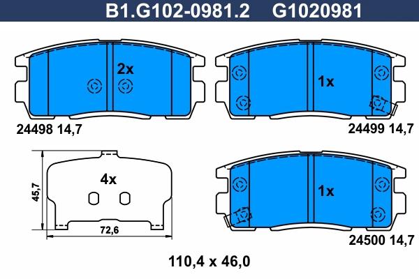 B1.G102-0981.2