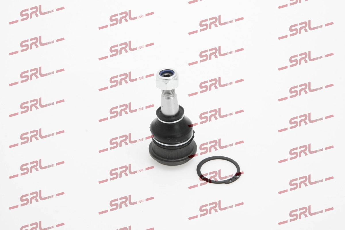 S6081503