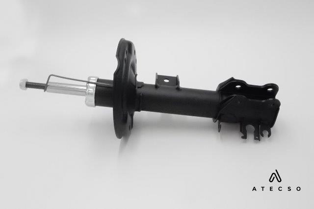 AMT00110