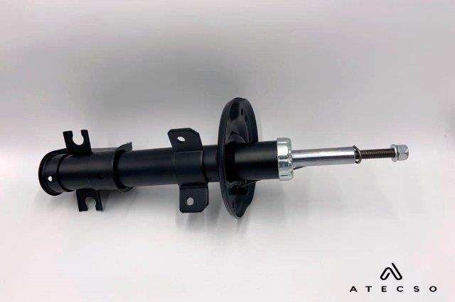AMT00219