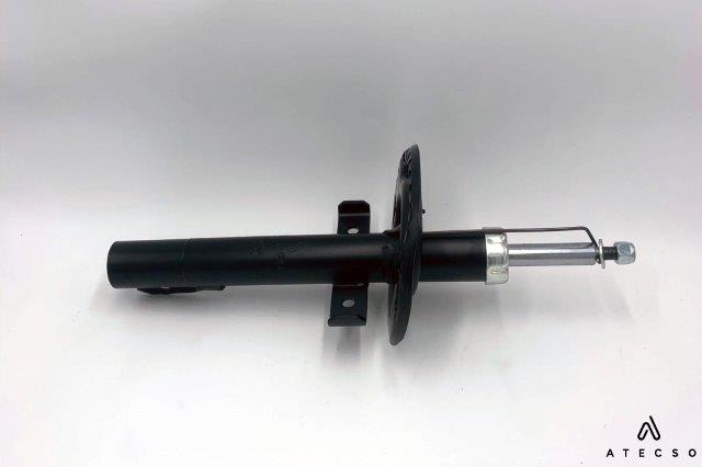 AMT00275
