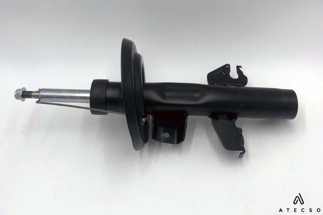 AMT00290