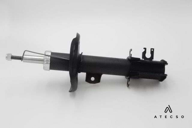AMT00117