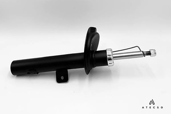 AMT00310
