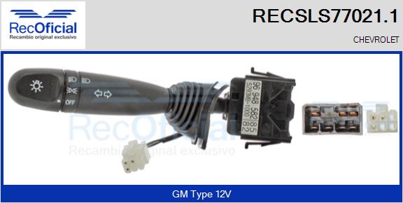RECSLS77021.1