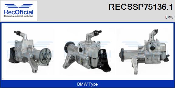RECSSP75136.1