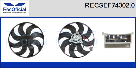 RECSEF74302.0