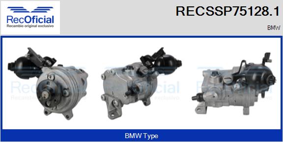 RECSSP75128.1