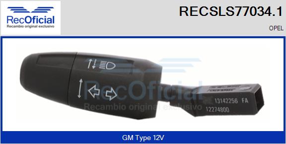 RECSLS77034.1