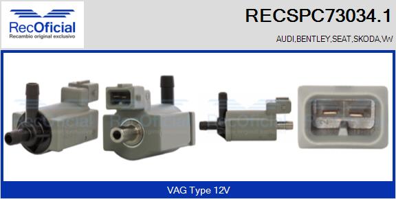 RECSPC73034.1