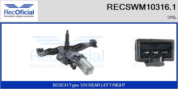 RECSWM10316.1