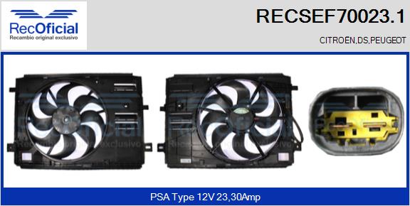 RECSEF70023.1
