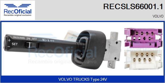 RECSLS66001.1