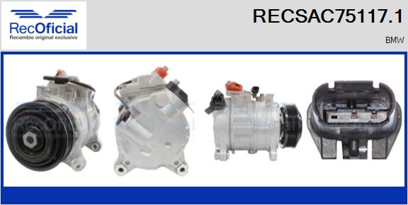 RECSAC75117.1