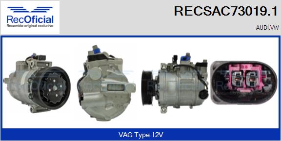 RECSAC73019.1