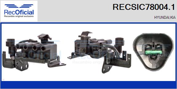 RECSIC78004.1