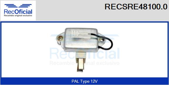 RECSRE48100.0