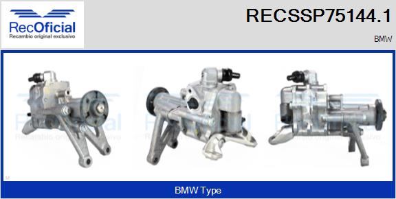 RECSSP75144.1
