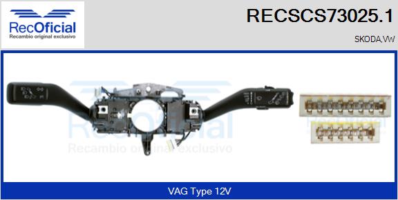 RECSCS73025.1
