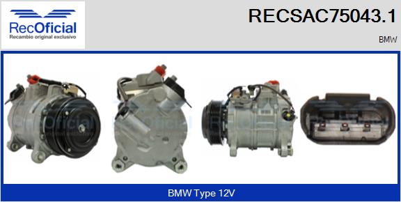 RECSAC75043.1