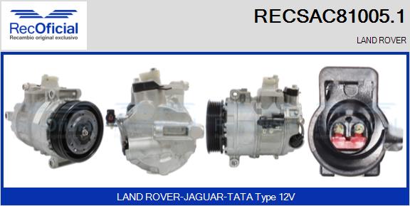 RECSAC81005.1