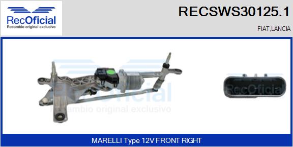 RECSWS30125.1